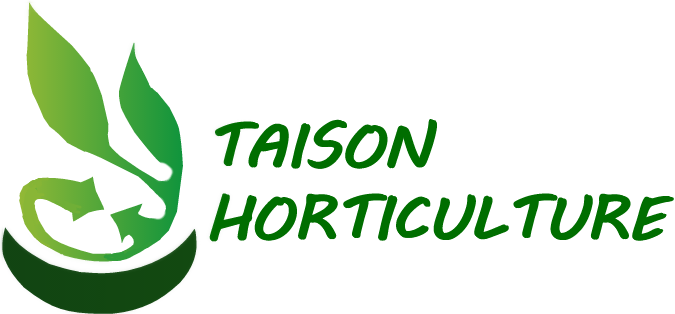 Taison Plants